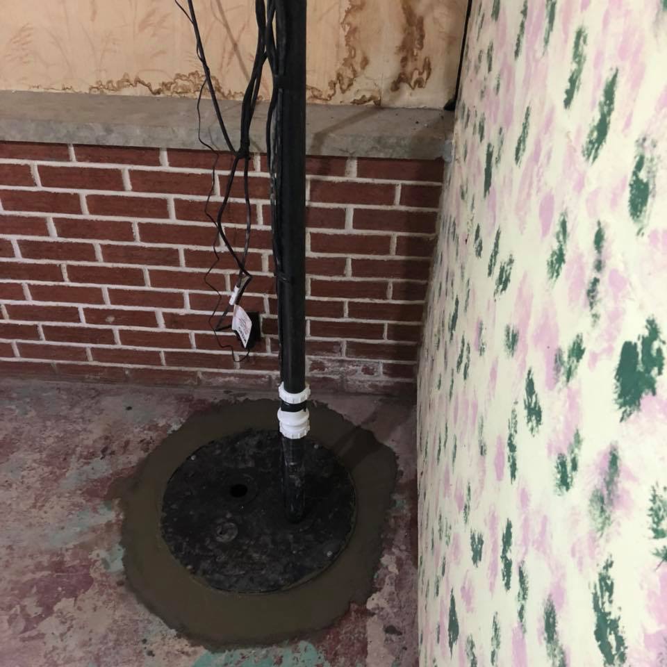 Photo 2019-05-09, 10 22 40 AM